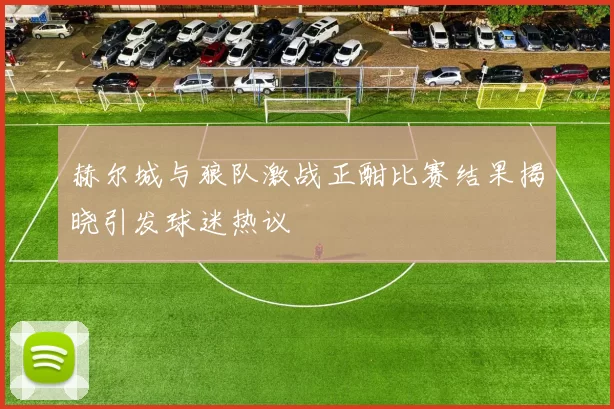 赫尔城与狼队激战正酣比赛结果揭晓引发球迷热议