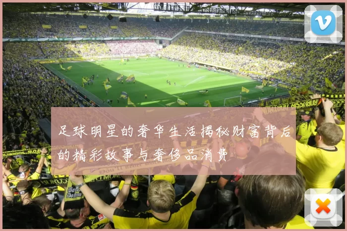 足球明星的奢华生活揭秘财富背后的精彩故事与奢侈品消费